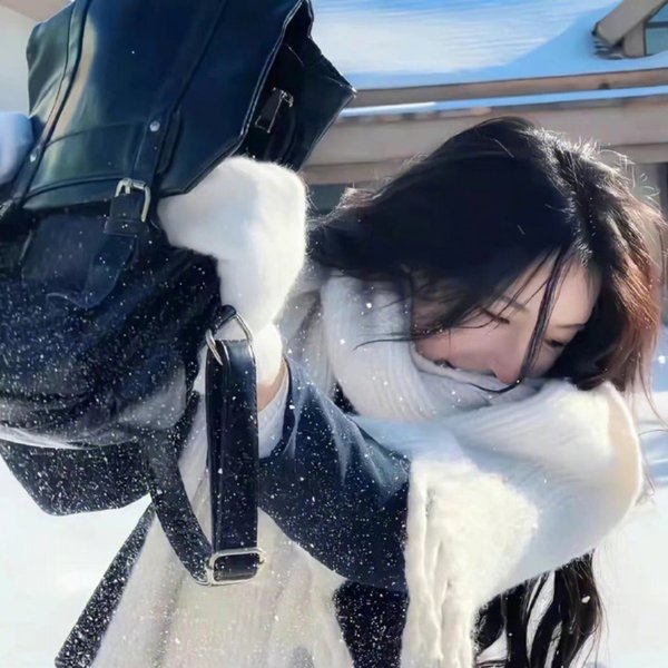 完美的主人